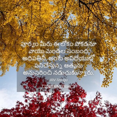 Picture 05 - ఎఫెసీ పత్రిక 2:2 TELIRV - పూర్వం మీరు ఈ లోకం - Bible Verse Picture