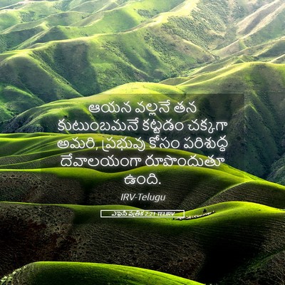 Picture 05 - ఎఫెసీ పత్రిక 2:21 TELIRV - ఆయన వల్లనే తన - Bible Verse Picture
