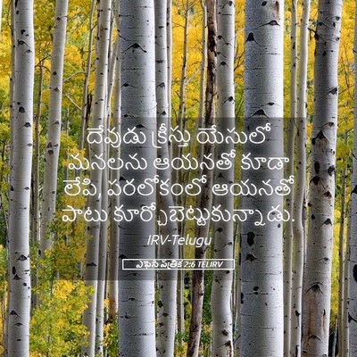 Picture 05 - ఎఫెసీ పత్రిక 2:6 TELIRV - దేవుడు క్రీస్తు - Bible Verse Picture