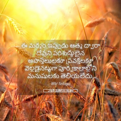 Picture 05 - ఎఫెసీ పత్రిక 3:5 TELIRV - ఈ మర్మం ఇప్పుడు - Bible Verse Picture