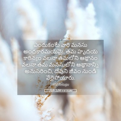 Picture 05 - ఎఫెసీ పత్రిక 4:18 TELIRV - ఎందుకంటే వారి - Bible Verse Picture