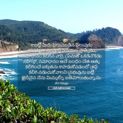 Picture 05 - ఎఫెసీ పత్రిక 4:2 TELIRV - కాబట్టి మీరు - Bible Verse Picture