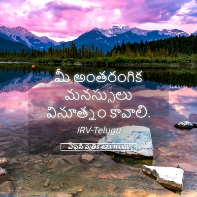 Picture 05 - ఎఫెసీ పత్రిక 4:23 TELIRV - మీ అంతరంగిక - Bible Verse Picture
