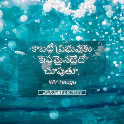 Picture 05 - ఎఫెసీ పత్రిక 5:10 TELIRV - కాబట్టి ప్రభువుకు - Bible Verse Picture