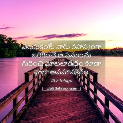 Picture 05 - ఎఫెసీ పత్రిక 5:12 TELIRV - ఎందుకంటే వారు - Bible Verse Picture