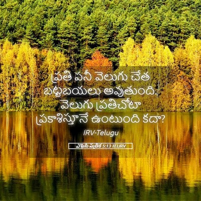 Picture 05 - ఎఫెసీ పత్రిక 5:13 TELIRV - ప్రతి పనీ వెలుగు - Bible Verse Picture