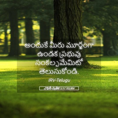 Picture 05 - ఎఫెసీ పత్రిక 5:17 TELIRV - అందుకే మీరు - Bible Verse Picture