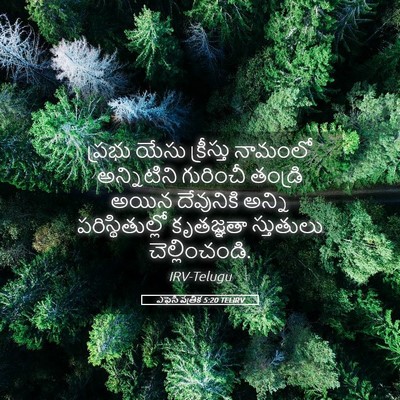 Picture 05 - ఎఫెసీ పత్రిక 5:20 TELIRV - ప్రభు యేసు - Bible Verse Picture