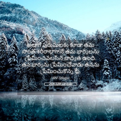 Picture 05 - ఎఫెసీ పత్రిక 5:28 TELIRV - అలాగే పురుషులకు - Bible Verse Picture