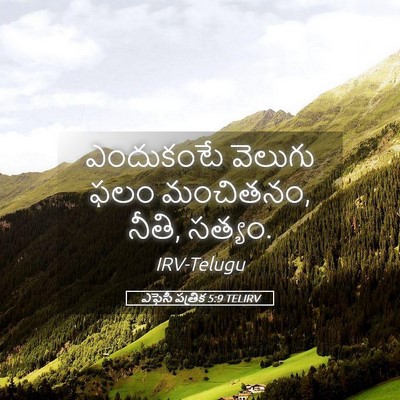 Picture 05 - ఎఫెసీ పత్రిక 5:9 TELIRV - ఎందుకంటే వెలుగు - Bible Verse Picture