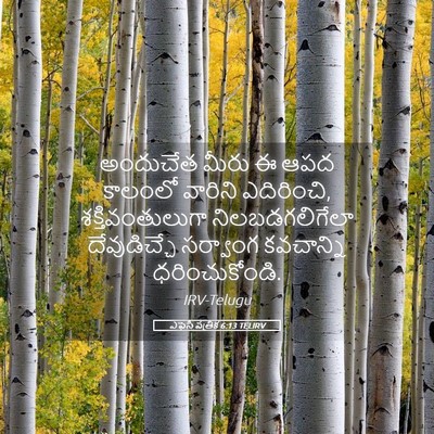 Picture 05 - ఎఫెసీ పత్రిక 6:13 TELIRV - అందుచేత మీరు ఈ ఆపద - Bible Verse Picture