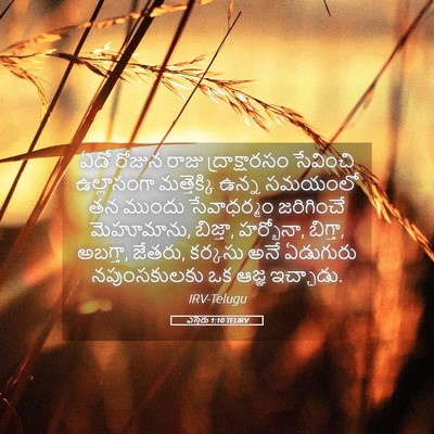 Picture 05 - ఎస్తేరు 1:10 TELIRV - ఏడో రోజున రాజు - Bible Verse Picture