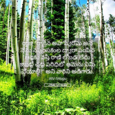 Picture 05 - ఎస్తేరు 1:15 TELIRV - రాజు “రాజైన - Bible Verse Picture