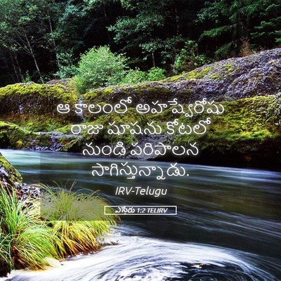 Picture 05 - ఎస్తేరు 1:2 TELIRV - ఆ కాలంలో - Bible Verse Picture