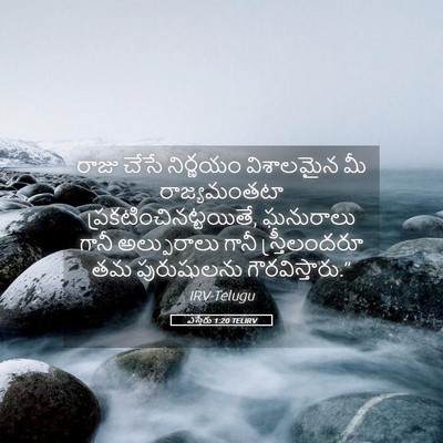 Picture 05 - ఎస్తేరు 1:20 TELIRV - రాజు చేసే నిర్ణయం - Bible Verse Picture