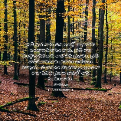 Picture 05 - ఎస్తేరు 1:22 TELIRV - ప్రతి మగ వాడు తన - Bible Verse Picture