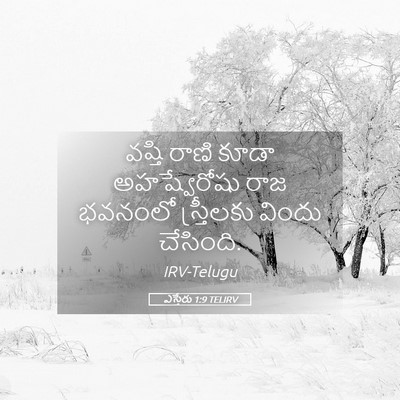 Picture 05 - ఎస్తేరు 1:9 TELIRV - వష్తి రాణి కూడా - Bible Verse Picture