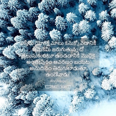 Picture 05 - ఎస్తేరు 2:11 TELIRV - ఎస్తేరు - Bible Verse Picture