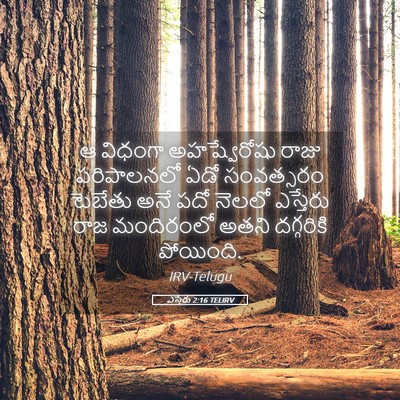 Picture 05 - ఎస్తేరు 2:16 TELIRV - ఆ విధంగా - Bible Verse Picture