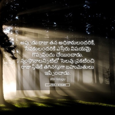 Picture 05 - ఎస్తేరు 2:18 TELIRV - అప్పుడు రాజు తన - Bible Verse Picture
