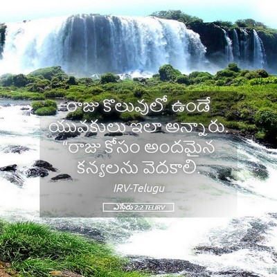 Picture 05 - ఎస్తేరు 2:2 TELIRV - రాజు కొలువులో - Bible Verse Picture