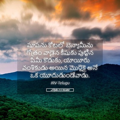 Picture 05 - ఎస్తేరు 2:5 TELIRV - షూషను కోటలో - Bible Verse Picture