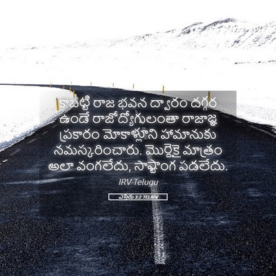 Picture 05 - ఎస్తేరు 3:2 TELIRV - కాబట్టి రాజ భవన - Bible Verse Picture
