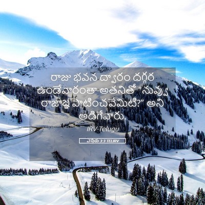 Picture 05 - ఎస్తేరు 3:3 TELIRV - రాజు భవన ద్వారం - Bible Verse Picture