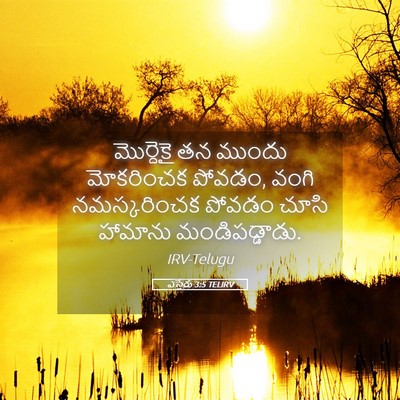Picture 05 - ఎస్తేరు 3:5 TELIRV - మొర్దెకై తన ముందు - Bible Verse Picture