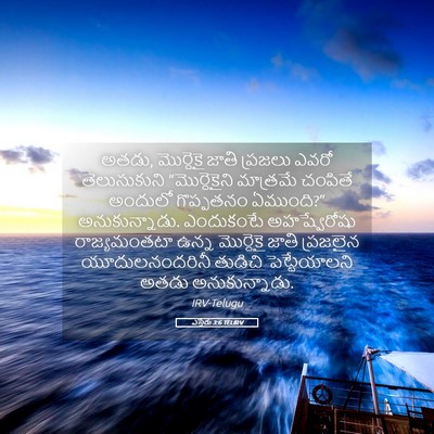 Picture 05 - ఎస్తేరు 3:6 TELIRV - అతడు, మొర్దెకై - Bible Verse Picture