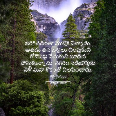 Picture 05 - ఎస్తేరు 4:1 TELIRV - జరిగినదంతా - Bible Verse Picture