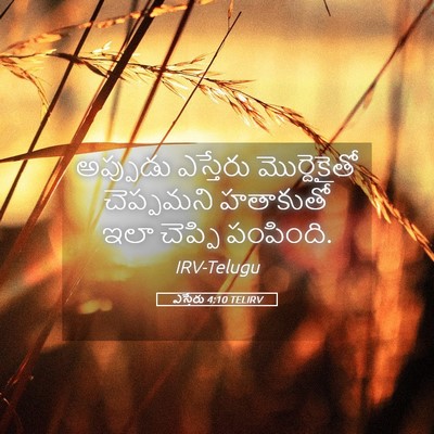 Picture 05 - ఎస్తేరు 4:10 TELIRV - అప్పుడు ఎస్తేరు - Bible Verse Picture