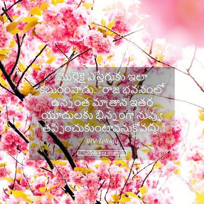 Picture 05 - ఎస్తేరు 4:13 TELIRV - మొర్దెకై - Bible Verse Picture