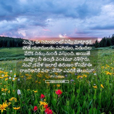Picture 05 - ఎస్తేరు 4:14 TELIRV - నువ్వు ఈ సమయంలో - Bible Verse Picture