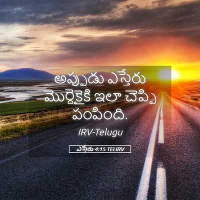 Picture 05 - ఎస్తేరు 4:15 TELIRV - అప్పుడు ఎస్తేరు - Bible Verse Picture