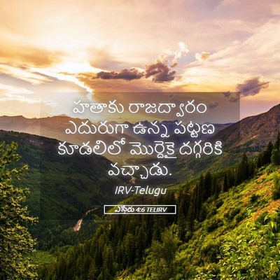 Picture 05 - ఎస్తేరు 4:6 TELIRV - హతాకు రాజద్వారం - Bible Verse Picture