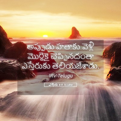 Picture 05 - ఎస్తేరు 4:9 TELIRV - అప్పుడు హతాకు - Bible Verse Picture