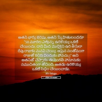 Picture 05 - ఎస్తేరు 5:14 TELIRV - అతని భార్య జెరెషు, - Bible Verse Picture