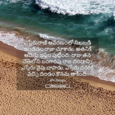 Picture 05 - ఎస్తేరు 5:2 TELIRV - ఎస్తేరురాణి - Bible Verse Picture