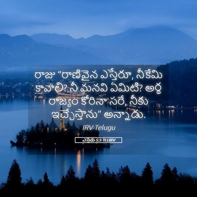 Picture 05 - ఎస్తేరు 5:3 TELIRV - రాజు “రాణివైన - Bible Verse Picture