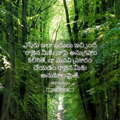 Picture 05 - ఎస్తేరు 5:7 TELIRV - ఎస్తేరు ఇలా బదులు - Bible Verse Picture