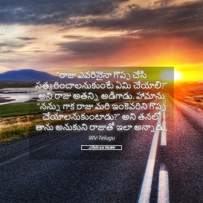 Picture 05 - ఎస్తేరు 6:6 TELIRV - “రాజు ఎవరినైనా - Bible Verse Picture