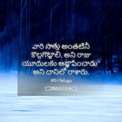 Picture 05 - ఎస్తేరు 8:12 TELIRV - వారి సొత్తు - Bible Verse Picture