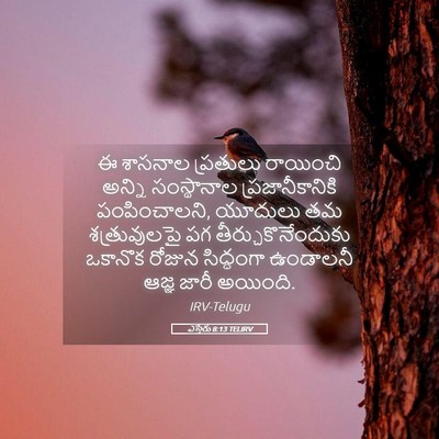Picture 05 - ఎస్తేరు 8:13 TELIRV - ఈ శాసనాల ప్రతులు - Bible Verse Picture