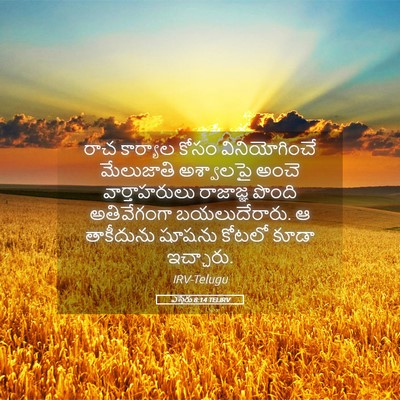 Picture 05 - ఎస్తేరు 8:14 TELIRV - రాచ కార్యాల కోసం - Bible Verse Picture