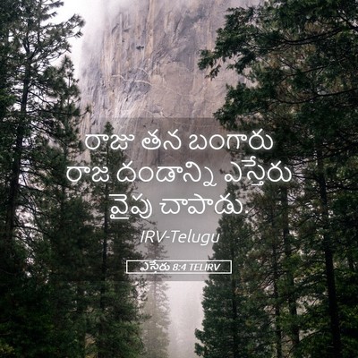 Picture 05 - ఎస్తేరు 8:4 TELIRV - రాజు తన బంగారు రాజ - Bible Verse Picture
