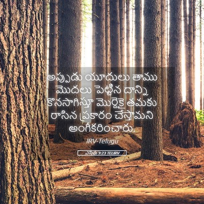 Picture 05 - ఎస్తేరు 9:23 TELIRV - అప్పుడు యూదులు - Bible Verse Picture