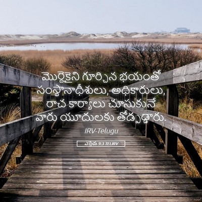 Picture 05 - ఎస్తేరు 9:3 TELIRV - మొర్దెకైని - Bible Verse Picture