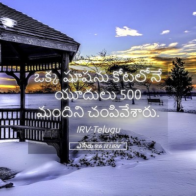 Picture 05 - ఎస్తేరు 9:6 TELIRV - ఒక్క షూషను - Bible Verse Picture