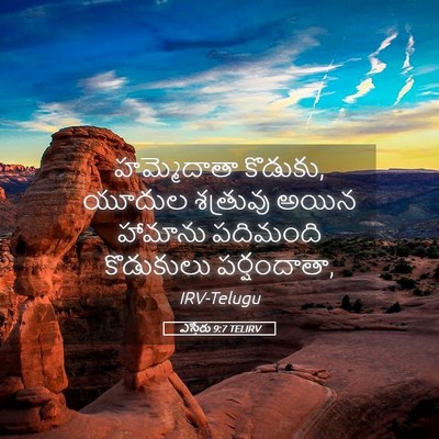 Picture 05 - ఎస్తేరు 9:7 TELIRV - హమ్మెదాతా కొడుకు, - Bible Verse Picture